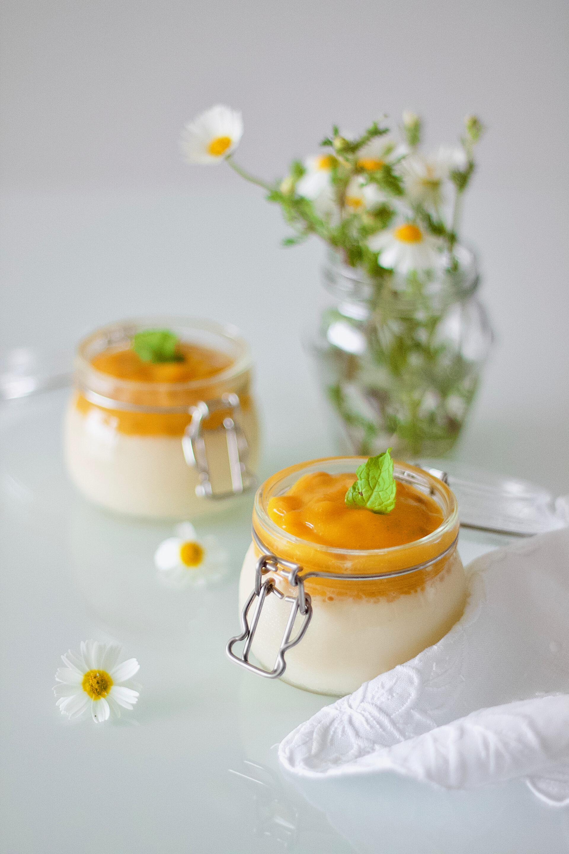 healthy-vegan-panna-cotta-panacota-saudável-1